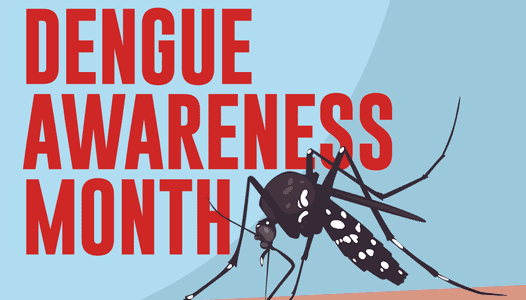june-dengue-awareness-month